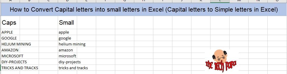 Convert Capital letters into small letters in Excel - thetechpapa.com